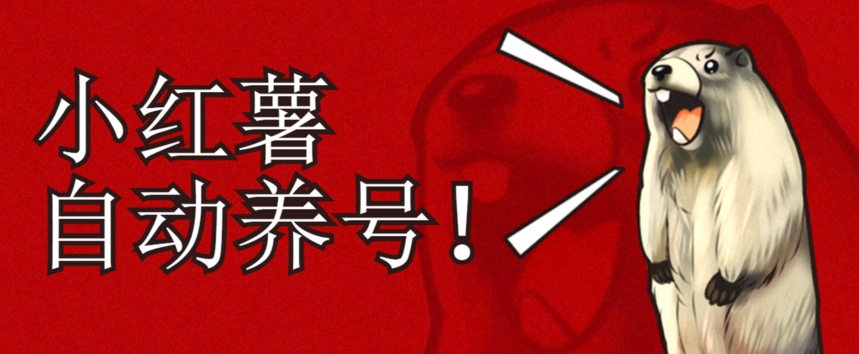 小红书养号秘籍，如何自动涨粉清晰系统标签打造高权重账号【揭秘】_免费分享网络创业,副业,信息差项目的老牌资源整合平台！金铲子项目