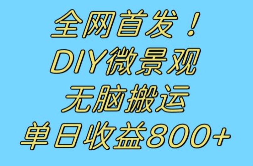 全网首发冷门赛道DIY微景观，无脑搬运视频，【揭秘】_免费分享网络创业,副业,信息差项目的老牌资源整合平台！金铲子项目