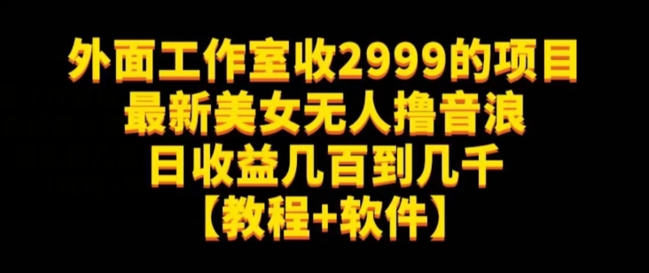 外面工作室收2999的项目最新美女无人撸音浪日几百到几千【教程软件】（仅揭秘）_免费分享网络创业,副业,信息差项目的老牌资源整合平台！金铲子项目