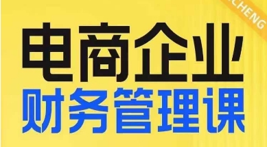 电商企业财务管理线上课，为电商企业规划财税_免费分享网络创业,副业,信息差项目的老牌资源整合平台！金铲子项目
