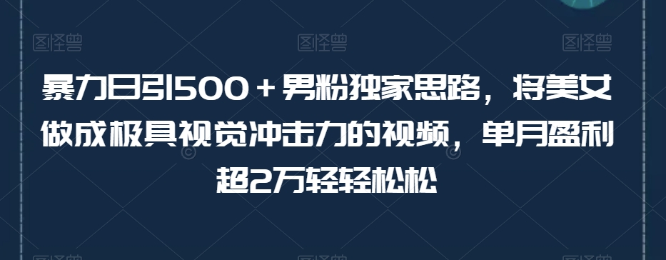 暴力日引男粉独家思路，将美女做成极具视觉冲击力的视频，单月盈利超2万轻松_免费分享网络创业,副业,信息差项目的老牌资源整合平台！金铲子项目