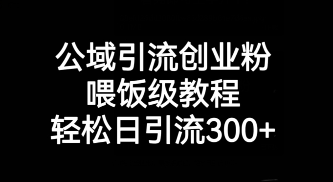 公域引流创业粉，喂饭级教程，日引流【揭秘】_免费分享网络创业,副业,信息差项目的老牌资源整合平台！金铲子项目