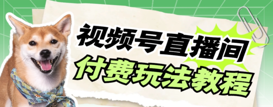 （7660期）视频号美女付费无人直播，【详细玩法教程】_免费分享网络创业,副业,信息差项目的老牌资源整合平台！金铲子项目
