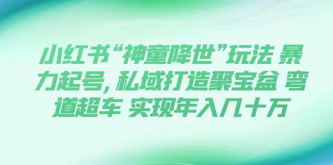 （7673期）小红书“神童降世”玩法暴力起号,私域打造聚宝盆弯道超车实现几十万_免费分享网络创业,副业,信息差项目的老牌资源整合平台！金铲子项目