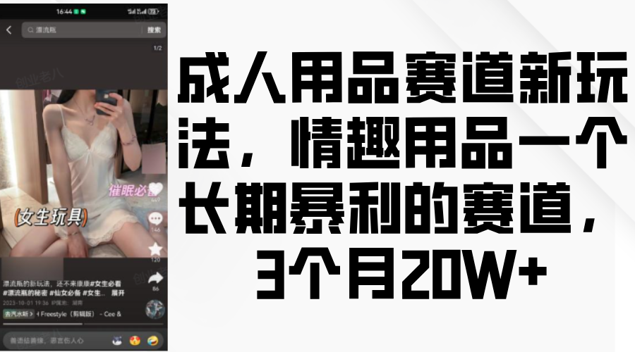成人用品赛道新玩法，情趣用品一个长期暴利的赛道，3个月_免费分享网络创业,副业,信息差项目的老牌资源整合平台！金铲子项目