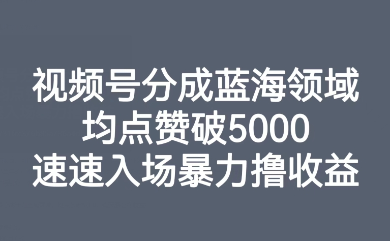 视频号分成蓝海领域，均点赞破5000，速速入场暴力撸_免费分享网络创业,副业,信息差项目的老牌资源整合平台！金铲子项目