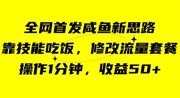 咸鱼冷门新玩法，靠“技能吃饭”，修改流量套餐，操作1分钟，50【揭秘】_免费分享网络创业,副业,信息差项目的老牌资源整合平台！金铲子项目