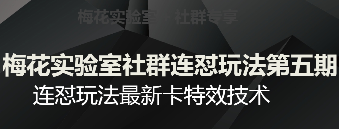 梅花实验室社群连怼玩法第五期，视频号连怼玩法最新卡特效技术_免费分享网络创业,副业,信息差项目的老牌资源整合平台！金铲子项目