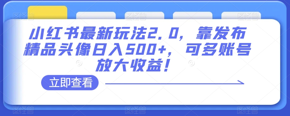 小红书最新玩法2.0，靠发布精品头像，可多账号放大【揭秘】_免费分享网络创业,副业,信息差项目的老牌资源整合平台！金铲子项目