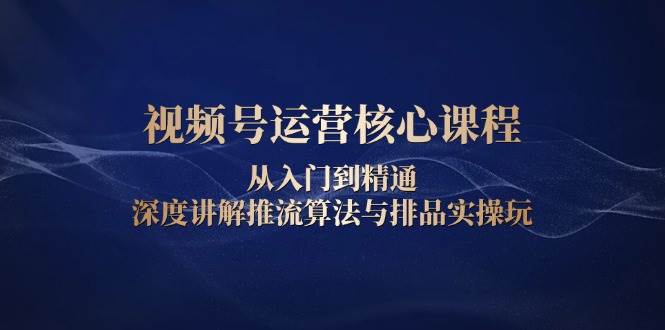 视频号运营核心课程，从入门到精通，深度讲解推流算法与排品实操玩_免费分享网络创业,副业,信息差项目的老牌资源整合平台！金铲子项目