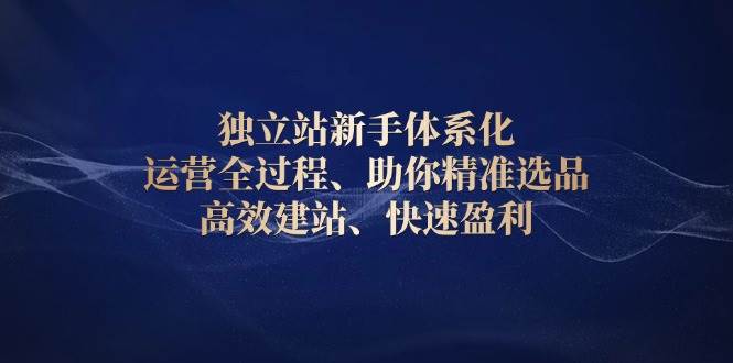 独立站新手体系化运营全过程，助你精准选品、高效建站、快速盈利_免费分享网络创业,副业,信息差项目的老牌资源整合平台！金铲子项目