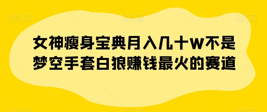 女神瘦身宝典几十W不是梦空手套白狼赚钱最火的赛道【揭秘】_免费分享网络创业,副业,信息差项目的老牌资源整合平台！金铲子项目