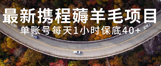 （7995期）最新携程薅羊毛项目，单账号每天1小时，可矩阵操作_免费分享网络创业,副业,信息差项目的老牌资源整合平台！金铲子项目