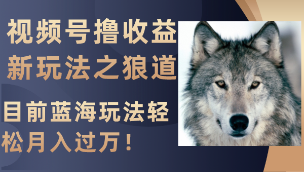 （8042期）视频号撸新玩法之狼道，目前蓝海玩法_免费分享网络创业,副业,信息差项目的老牌资源整合平台！金铲子项目