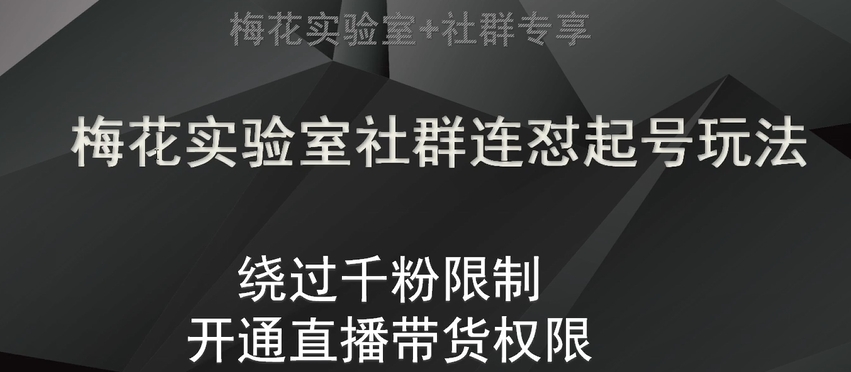梅花实验室社群连怼起号玩法，视频号绕过千粉限制，开通直播带货权限【揭秘】_免费分享网络创业,副业,信息差项目的老牌资源整合平台！金铲子项目