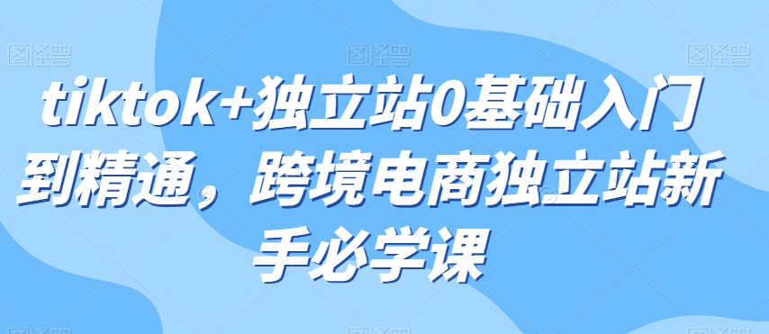 tiktok独立站0基础入门到精通，跨境电商独立站新手必学课_免费分享网络创业,副业,信息差项目的老牌资源整合平台！金铲子项目