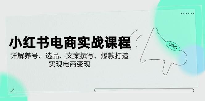 小红书电商实战课程，详解养号、选品、文案撰写、爆款打造，实现电商_免费分享网络创业,副业,信息差项目的老牌资源整合平台！金铲子项目