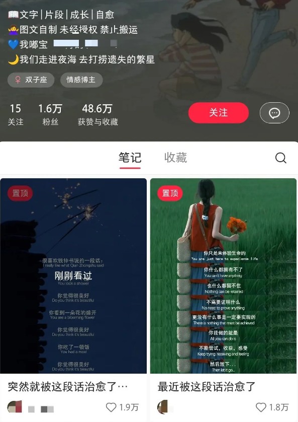 小红书治愈文案图文笔记，零门槛，一分钟制作制作爆款作品_免费分享网络创业,副业,信息差项目的老牌资源整合平台！金铲子项目