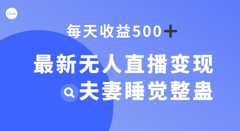 最新无人直播，夫妻睡觉整蛊，每天躺【揭秘】_免费分享网络创业,副业,信息差项目的老牌资源整合平台！金铲子项目