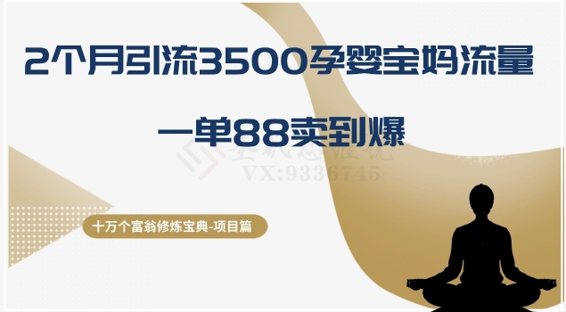 十万个富翁修炼宝典之13.2个月引流3500孕婴宝妈流量，一单88卖到爆_免费分享网络创业,副业,信息差项目的老牌资源整合平台！金铲子项目