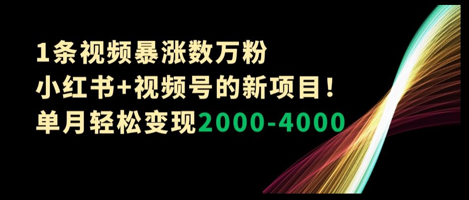 1条视频暴涨数万粉–小红书视频号的新项目单月2000-4000【揭秘】_免费分享网络创业,副业,信息差项目的老牌资源整合平台！金铲子项目