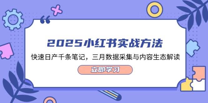 2025小红书实战方法，快速千条笔记，三月数据采集与内容生态解读_免费分享网络创业,副业,信息差项目的老牌资源整合平台！金铲子项目