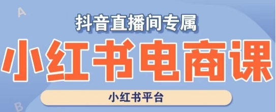 小红书电商高级运营课程，实操教学案例分析_免费分享网络创业,副业,信息差项目的老牌资源整合平台！金铲子项目