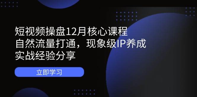 短视频操盘12月核心课程：自然流量打通，现象级IP养成，实战经验分享_免费分享网络创业,副业,信息差项目的老牌资源整合平台！金铲子项目