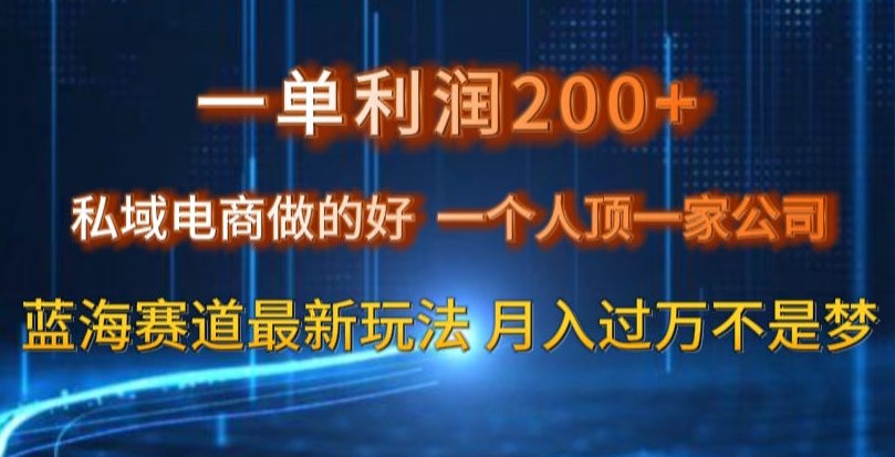一单私域电商做的好，一个人顶一家公司蓝海赛道最新玩法【揭秘】_免费分享网络创业,副业,信息差项目的老牌资源整合平台！金铲子项目