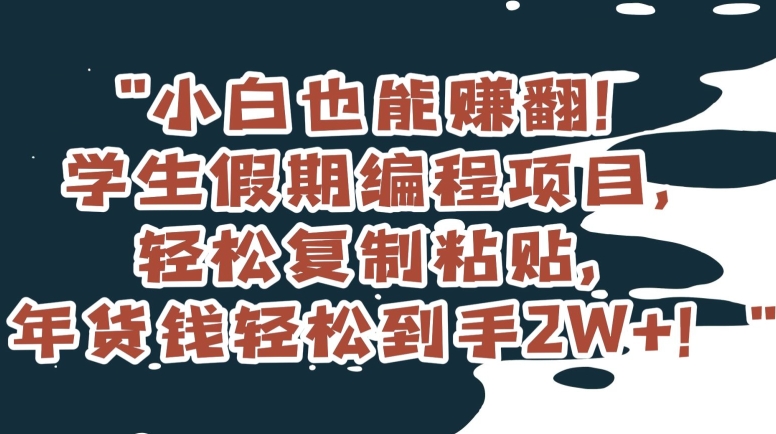 小白也能赚翻学生假期编程项目，复制粘贴，年货钱到手【揭秘】_免费分享网络创业,副业,信息差项目的老牌资源整合平台！金铲子项目