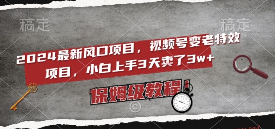 2024最新风口项目，视频号变老特效项目，电脑小白上手3天卖了，保姆级教程【揭秘】_免费分享网络创业,副业,信息差项目的老牌资源整合平台！金铲子项目
