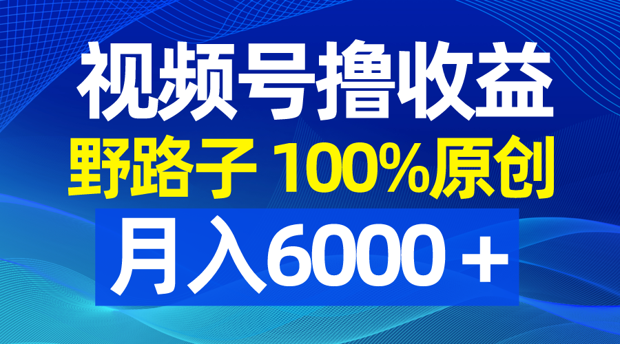 （8679期）视频号野路子撸，100%原创，条条爆款，_免费分享网络创业,副业,信息差项目的老牌资源整合平台！金铲子项目