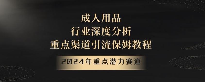 2024年重点潜力赛道，成人用品行业深度分析，重点渠道引流保姆教程【揭秘】_免费分享网络创业,副业,信息差项目的老牌资源整合平台！金铲子项目