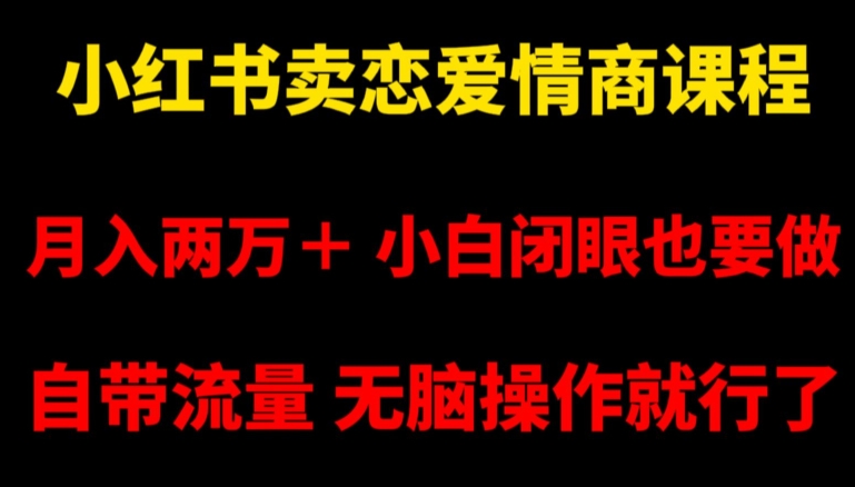 小红书卖恋爱情商课程，两万，小白闭眼也要做，自带流量，无脑操作就行了【揭秘】_免费分享网络创业,副业,信息差项目的老牌资源整合平台！金铲子项目