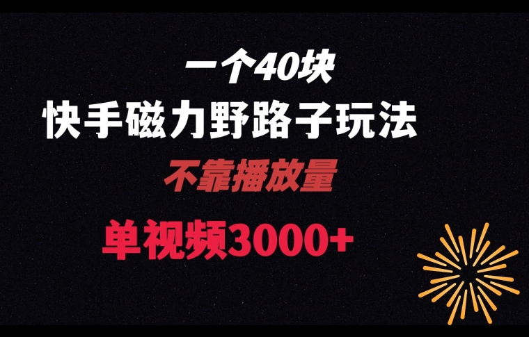 一个40块，快手联合美团磁力新玩法，无视机制野路子玩法，单视频4位数【揭秘】_免费分享网络创业,副业,信息差项目的老牌资源整合平台！金铲子项目