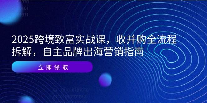 2025跨境致富实战课，收并购全流程拆解，自主品牌出海营销指南_免费分享网络创业,副业,信息差项目的老牌资源整合平台！金铲子项目