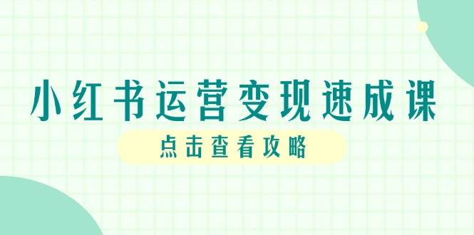 小红书运营速成课，账号搭建到暴力起号，个人IP全流程指南_免费分享网络创业,副业,信息差项目的老牌资源整合平台！金铲子项目