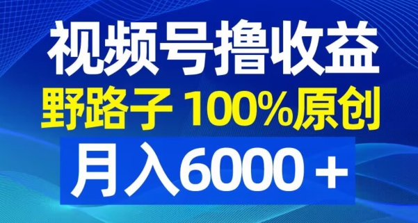 视频号野路子撸，100%原创，条条爆款，_免费分享网络创业,副业,信息差项目的老牌资源整合平台！金铲子项目