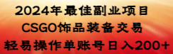 （8941期）2024年最佳副业项目CSGO饰品装备交易轻易操作单账号_免费分享网络创业,副业,信息差项目的老牌资源整合平台！金铲子项目