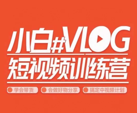 小呆说视–小白VLOG短视频训练营，学会带货、好物、直播、中视频_免费分享网络创业,副业,信息差项目的老牌资源整合平台！金铲子项目