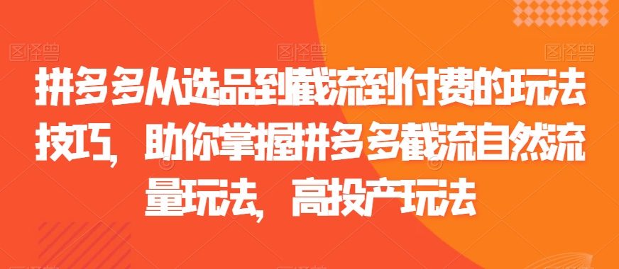 拼多多从选品到截流到付费的玩法技巧，助你掌握拼多多截流自然流量玩法，高投产玩法_免费分享网络创业,副业,信息差项目的老牌资源整合平台！金铲子项目
