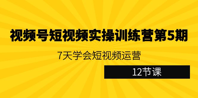 （9029期）视频号短视频实操训练营第5期：7天学会短视频运营（12节课）_免费分享网络创业,副业,信息差项目的老牌资源整合平台！金铲子项目