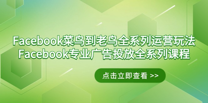 （9064期）Facebook-菜鸟到老鸟全系列运营玩法Facebook-专业广告投放全系列课程_免费分享网络创业,副业,信息差项目的老牌资源整合平台！金铲子项目