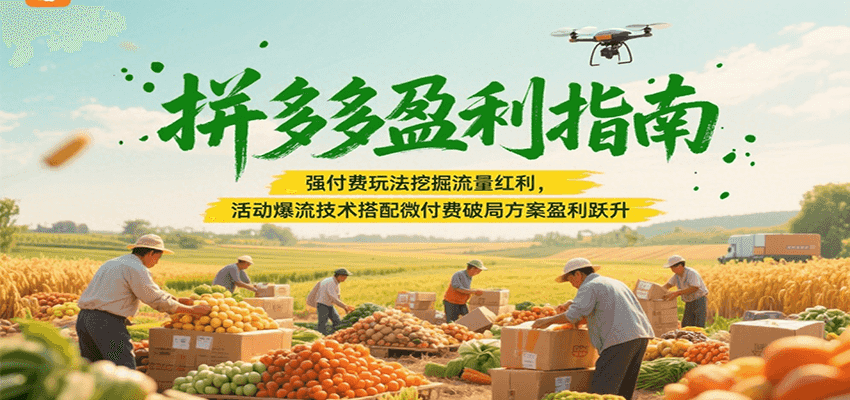 拼多多盈利指南：强付费玩法挖掘流量红利，活动爆流技术搭配微付费方案实现盈利跃升_免费分享网络创业,副业,信息差项目的老牌资源整合平台！金铲子项目