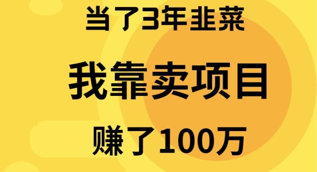 （9100期）当了3年韭菜，我靠卖项目赚了100万_免费分享网络创业,副业,信息差项目的老牌资源整合平台！金铲子项目