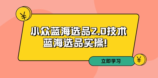 （9189期）拼多多培训第33期：小众蓝海选品2.0技术-蓝海选品实操_免费分享网络创业,副业,信息差项目的老牌资源整合平台！金铲子项目
