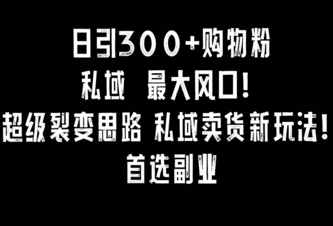 日引购物粉，超级裂变思路，私域卖货新玩法，小红书首选副业_免费分享网络创业,副业,信息差项目的老牌资源整合平台！金铲子项目
