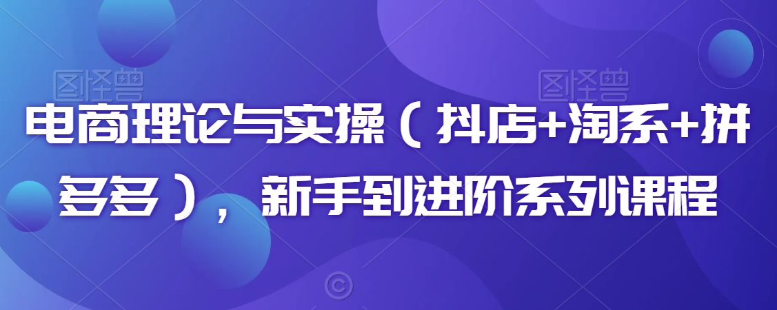 电商理论与实操（抖店淘系拼多多），新手到进阶系列课程_免费分享网络创业,副业,信息差项目的老牌资源整合平台！金铲子项目
