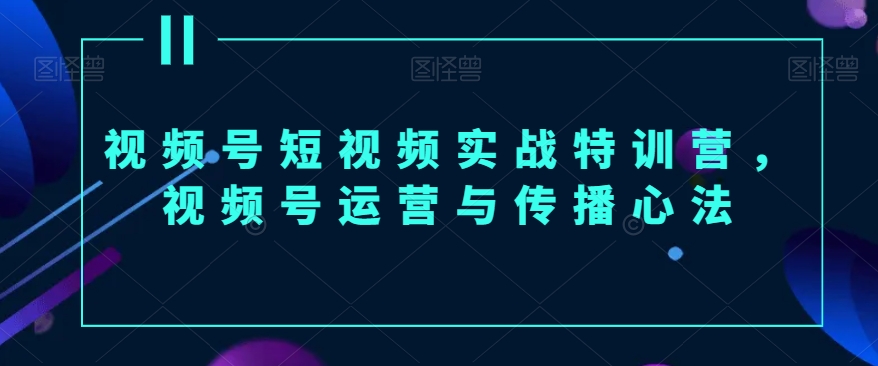 视频号短视频实战特训营，视频号运营与传播心法_免费分享网络创业,副业,信息差项目的老牌资源整合平台！金铲子项目