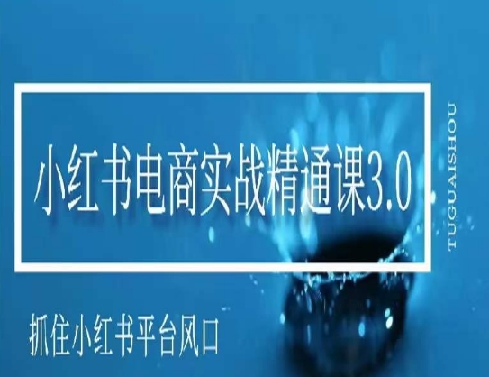 小红书电商实战精通课3.0，抓住小红书平台的风口，不错过有一个赚钱的机会_免费分享网络创业,副业,信息差项目的老牌资源整合平台！金铲子项目